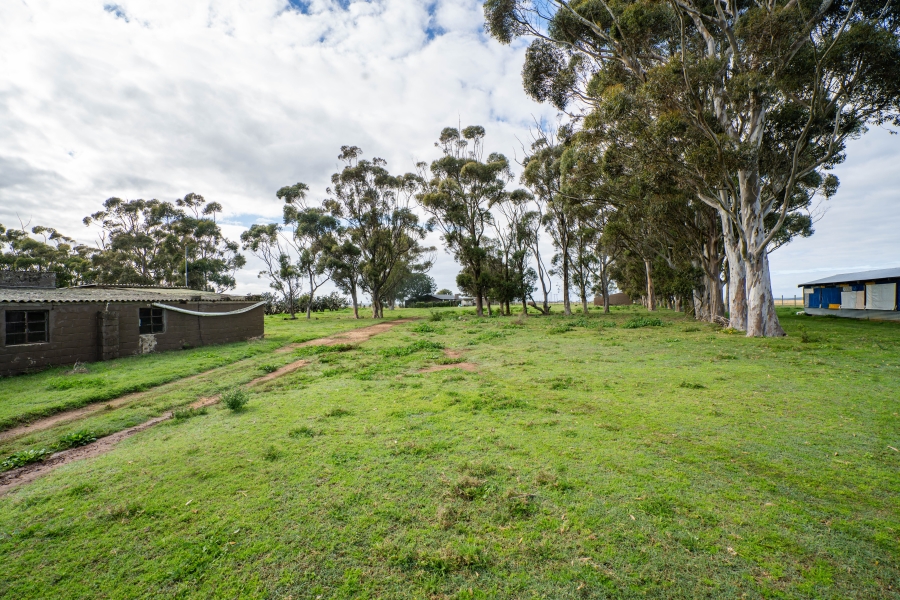 5 Bedroom Property for Sale in Grahamstown Rural Eastern Cape